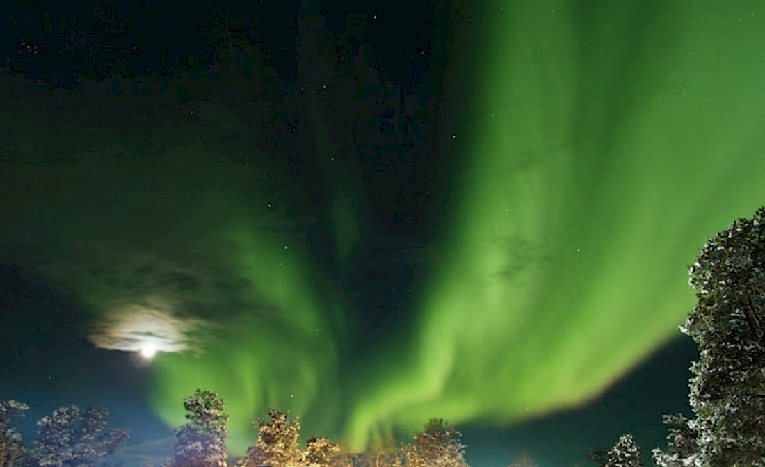 The further north you go, the better chance you have of seeing the Northern Lights.