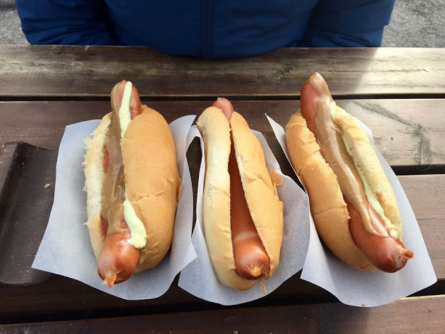 hot dog tours
