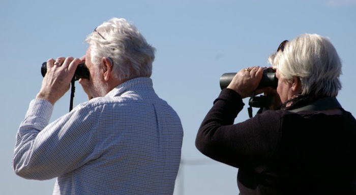 Binoculars - always good to have one hand.