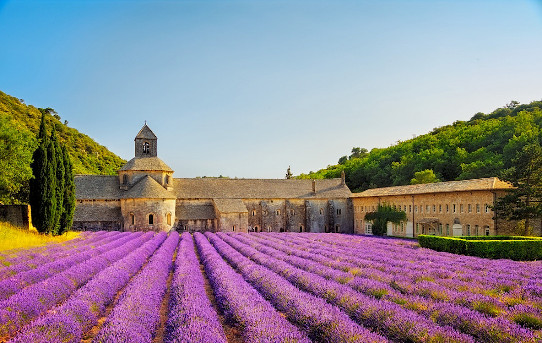 Unwind amid the idyllic Countryside of the France's Canals.