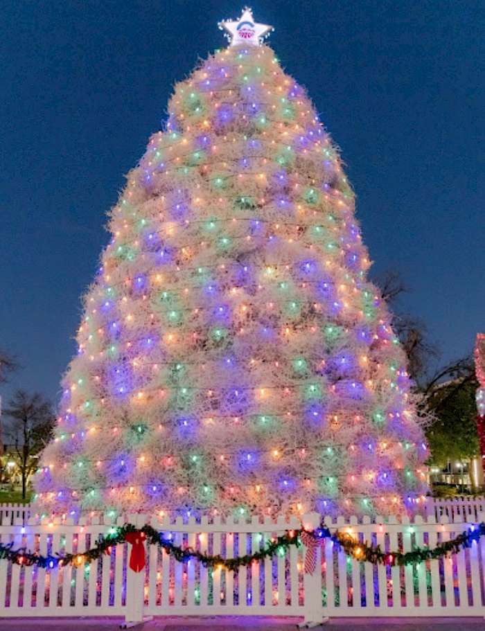 Colorful Tumbleweed Tree.