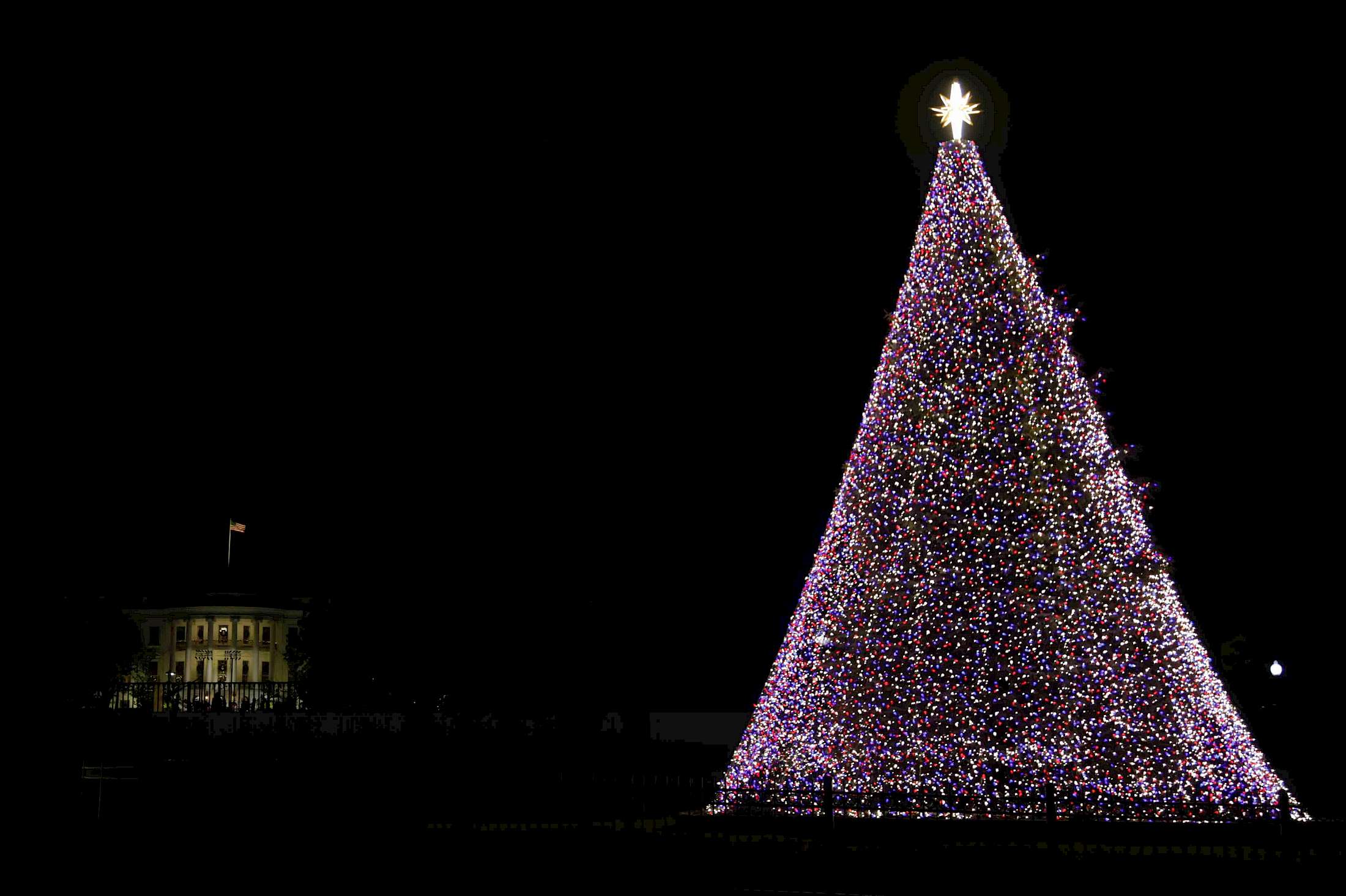 Glistening in Washington D.C.