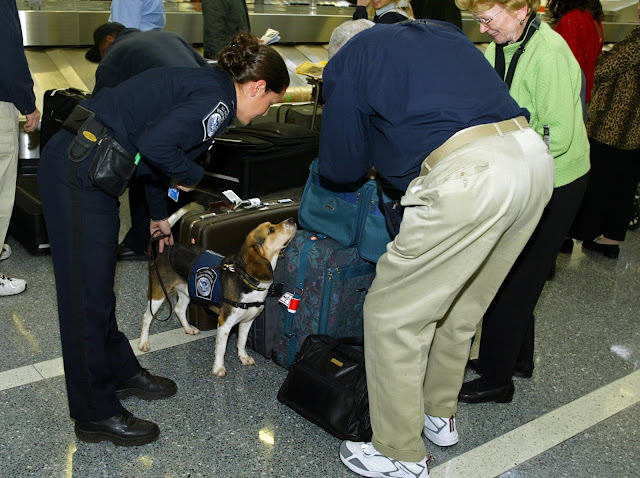 Photo Courtesy of the CBP.