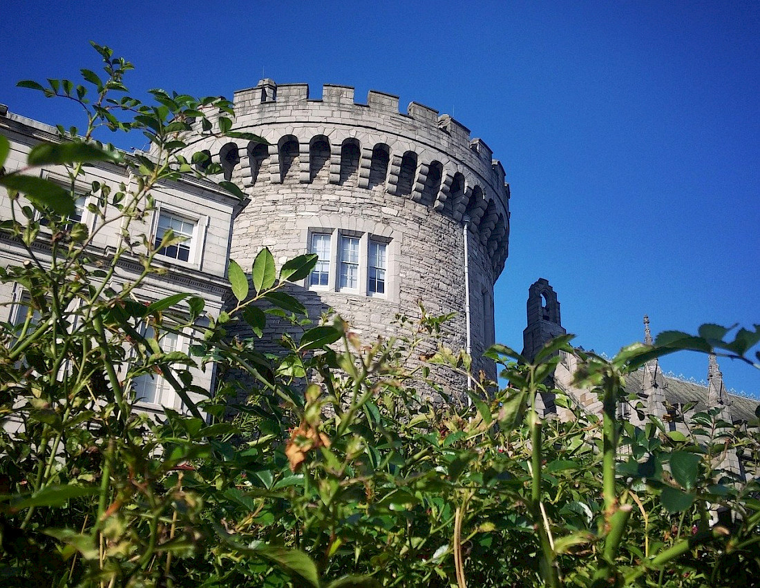 Dublin Castle is built on an original Viking settlement.