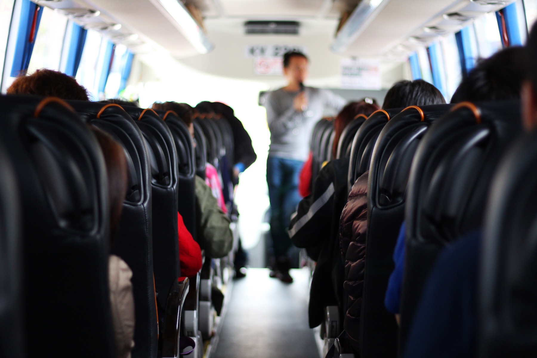 A Tour Director managing the day-to-day itinerary.