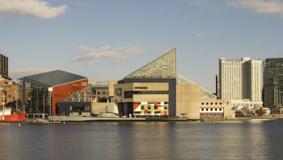 Visit The Award-Winning National Aquarium.