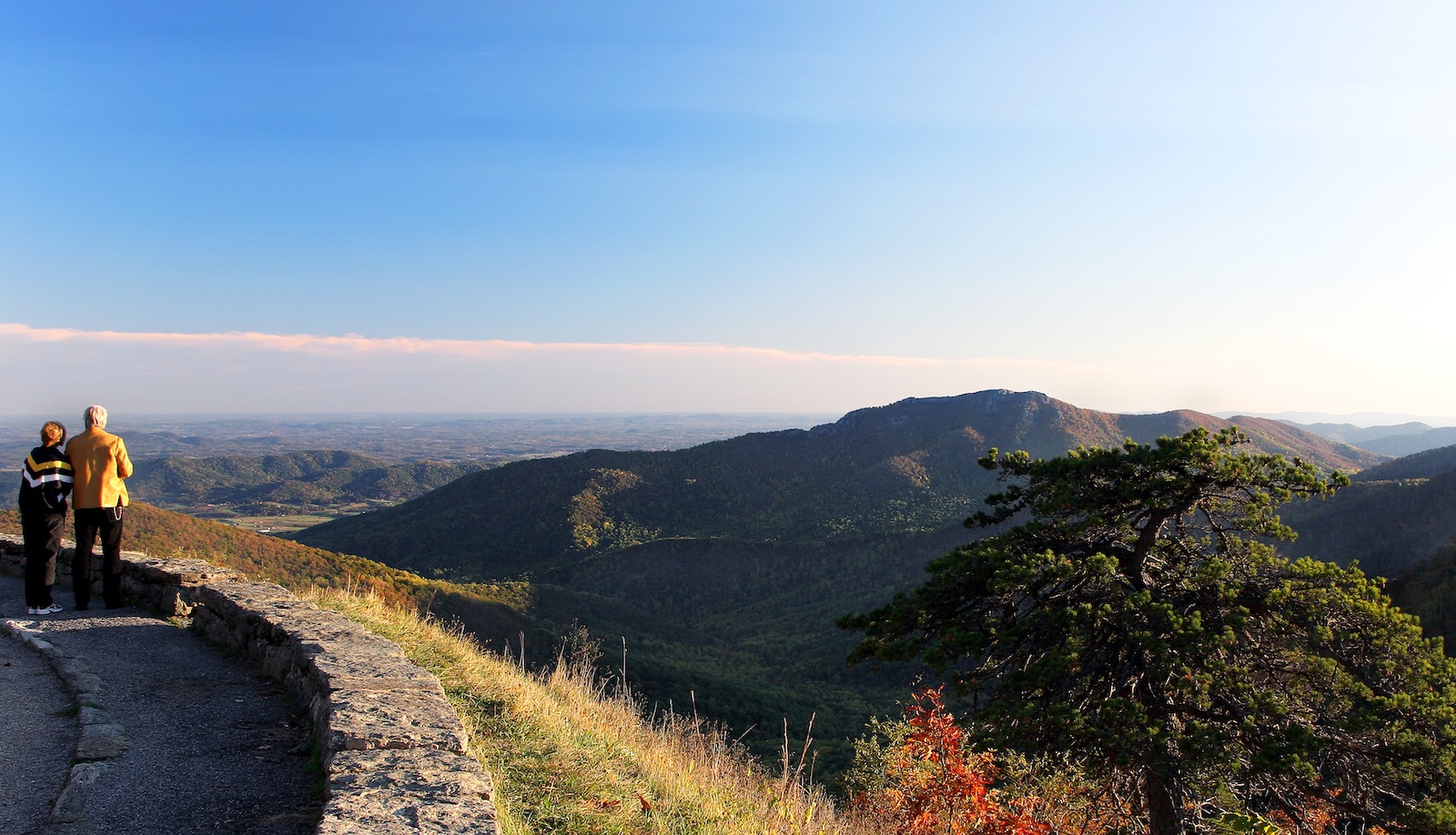 Views from Skyline Drive.