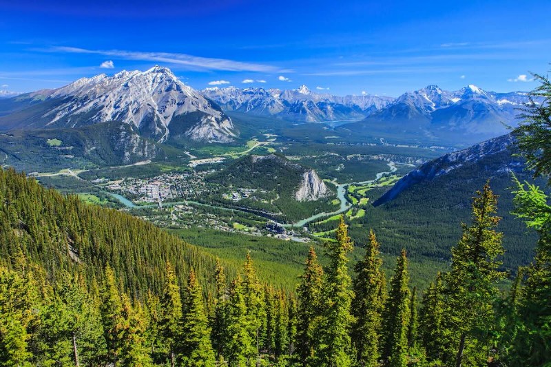Canadian Rockies by Train