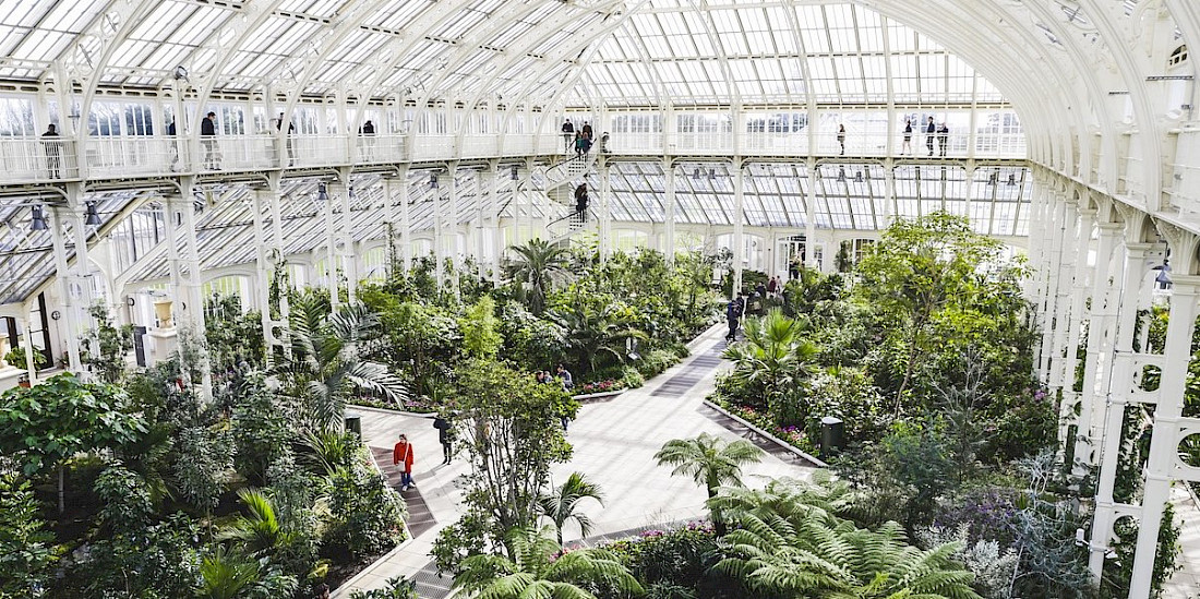 Relax amid greenery in Palm House, Kew Gardens.