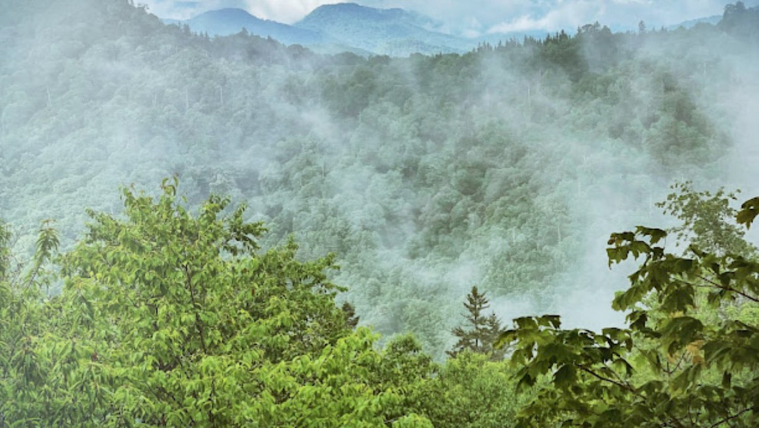 Glorious and Moody, the Great Smokey Mountains.