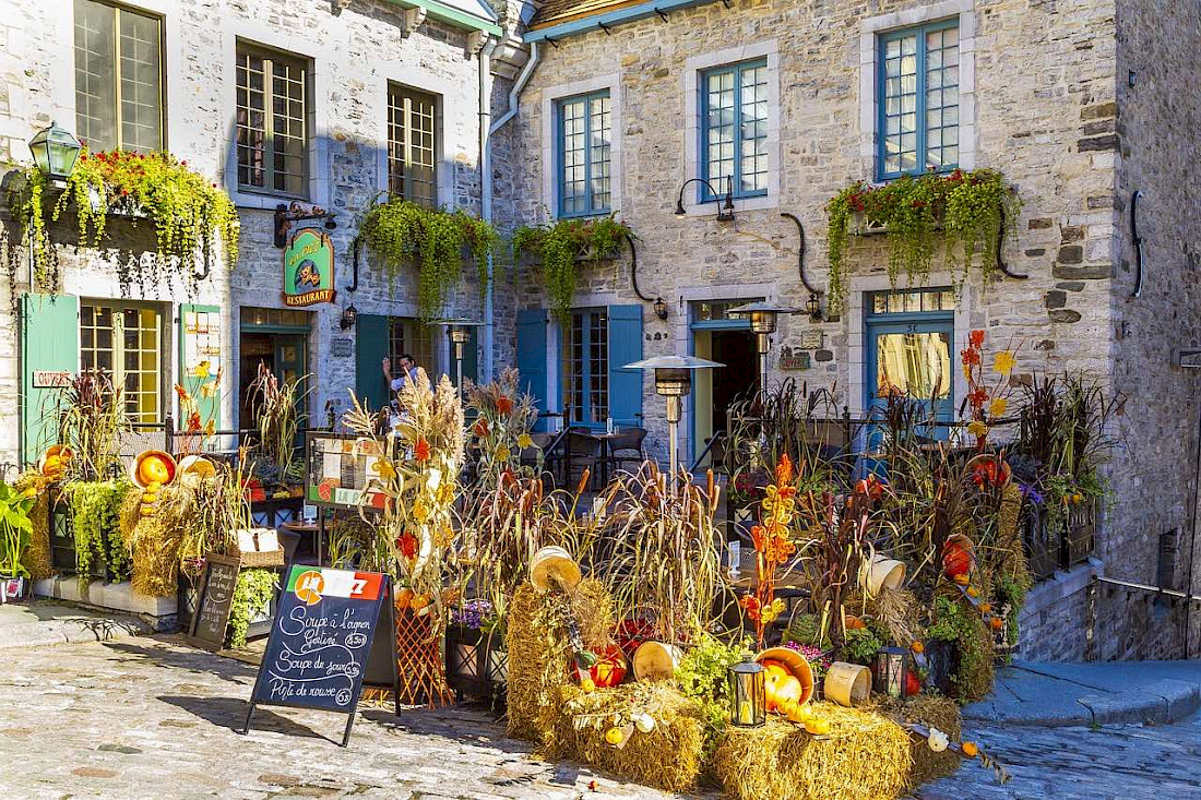 Unique and delicious dining options abound in Quebec City. Tickle your taste buds!