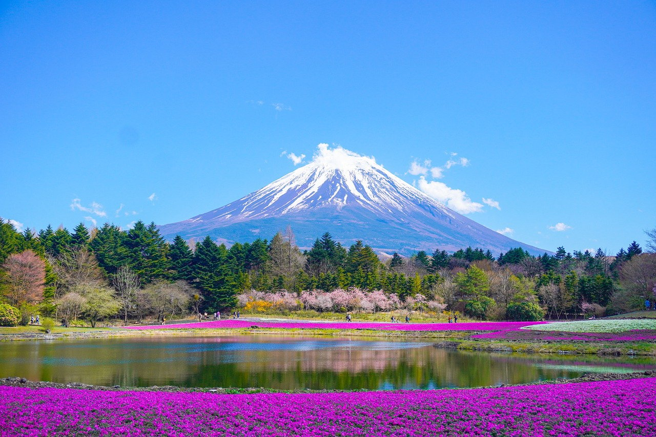 Visiting in the Spring is the perfect time to travel solo to Japan.