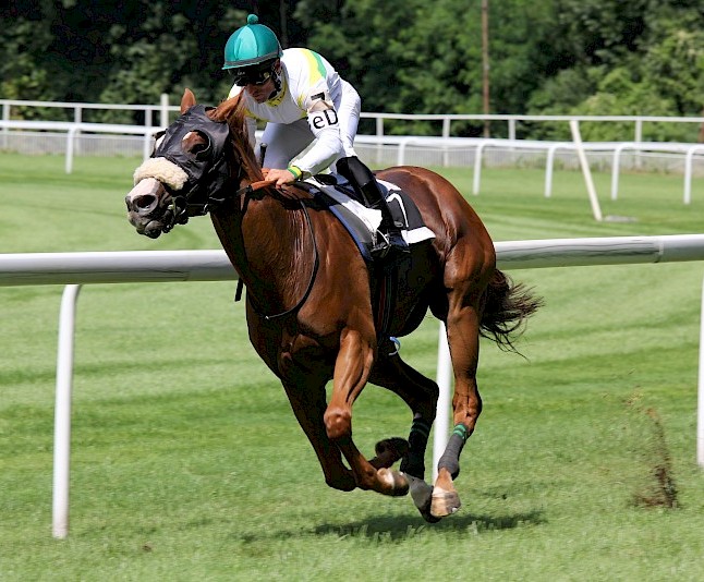 Saratoga Lakes & Races