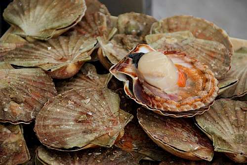 Fresh seafood is a must in Nova Scotia!