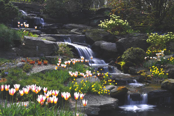 New York Botanical Gardens
