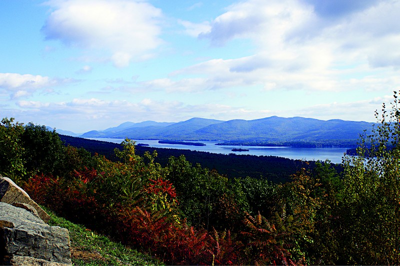 Go Wild In Lake George