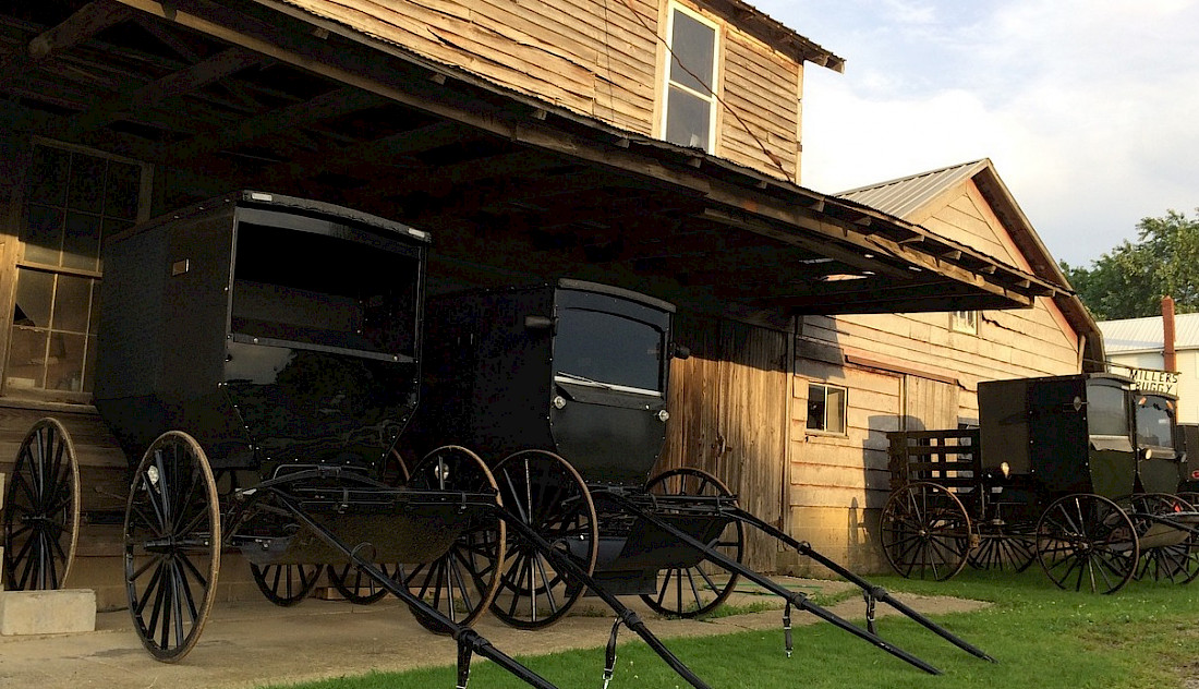Enjoy dinner with a local Amish family or tour the countryside.