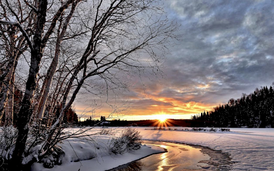 The soft golden light of Winter.