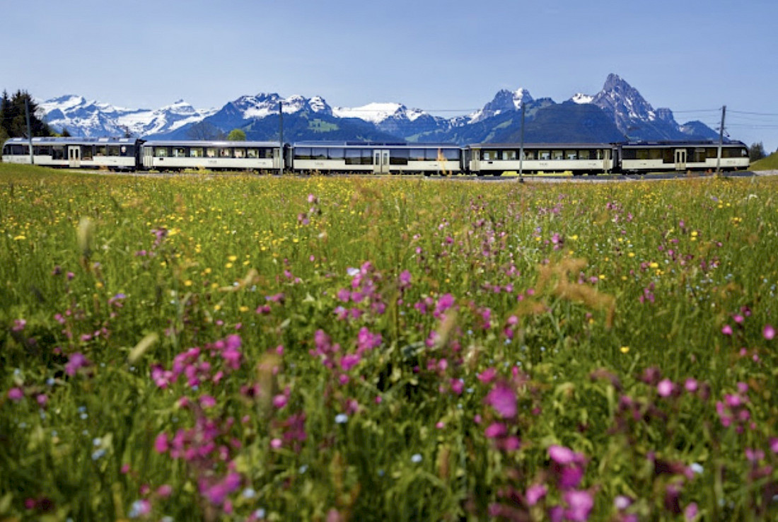 GoldenPass Panoramic glides through a summer meadow.