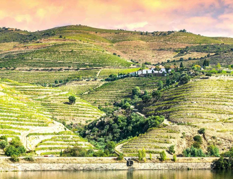 Cruising Portugal's Douro River