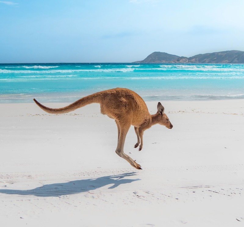 Australia Down Under