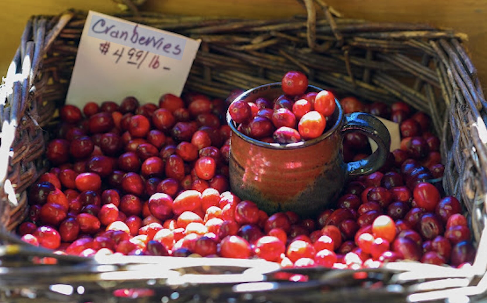 Each stage of cranberry growing season brings something unique to see.