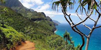 Hawaiian Coastal Scenary