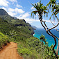 Hawaiian Coastal Scenary