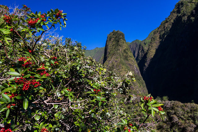 Iao Needle, Maui