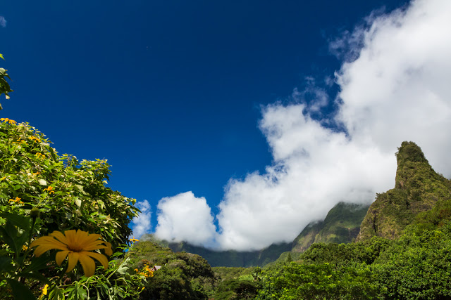 Iao Valley, Maui