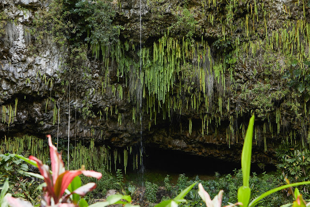 Fern Grotto