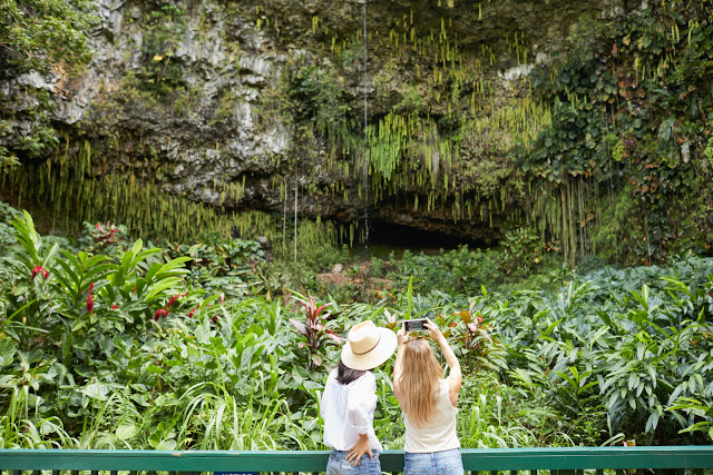 Fern Grotto