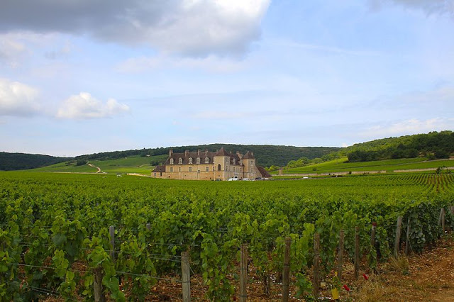 Chateau du Clos de Vougeot