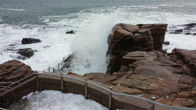 Maine&#8217;s Wild Coast