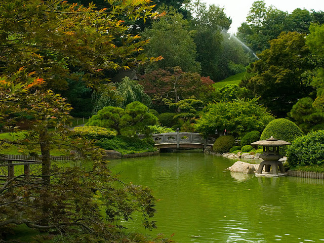 Pond Hill Garden