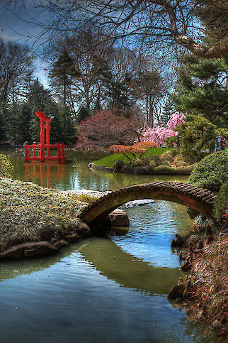 Bridge to Eden Brooklyn Botanical Gardens