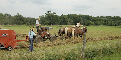 Ohio Amish