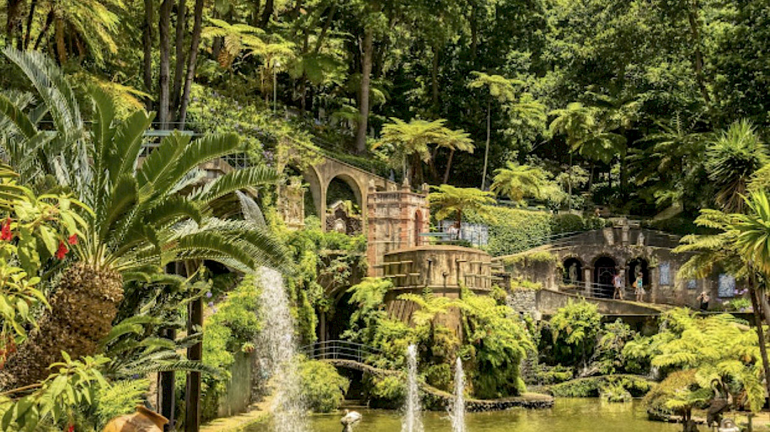 The lush beauty on the island of Madeira.