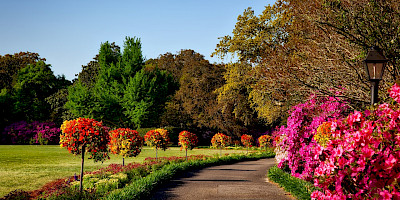 Connecticut Gardens.
