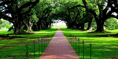 Oak Alley Plantation